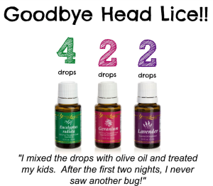 How To Get Rid Of Lice