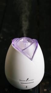 Smell up your house with natural healthy aromatherapy! This diffuser comes in your kit!
